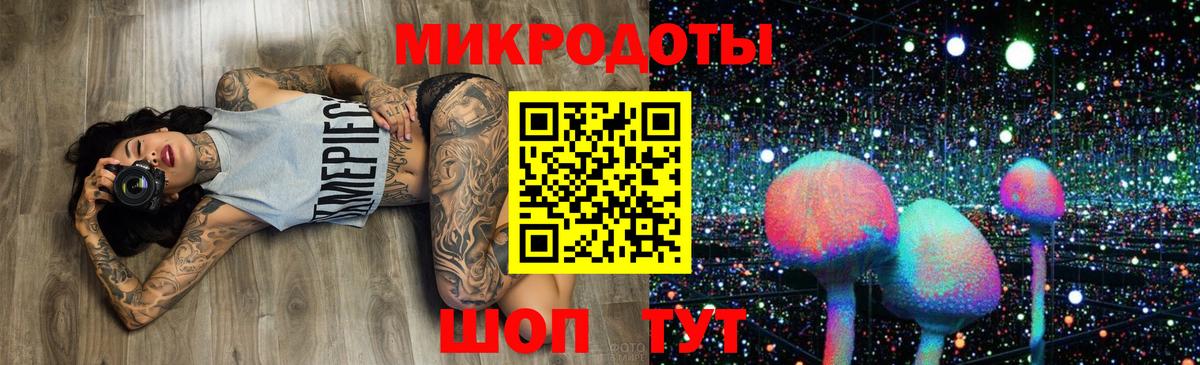 Псилоцибиновые грибы мицелий Ейск