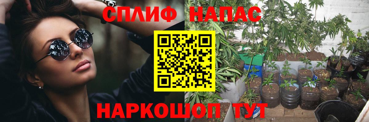 Каннабис планчик  Вход с VPN  Ейск  МАРИХУАНА марихуана  Марихуана марихуана  Бошки марихуана Bruce Banner 